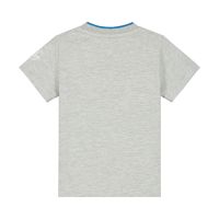 grijs t-shirt met tekstprint op de voorzijde van het stoere jongenskleding merk SKURK